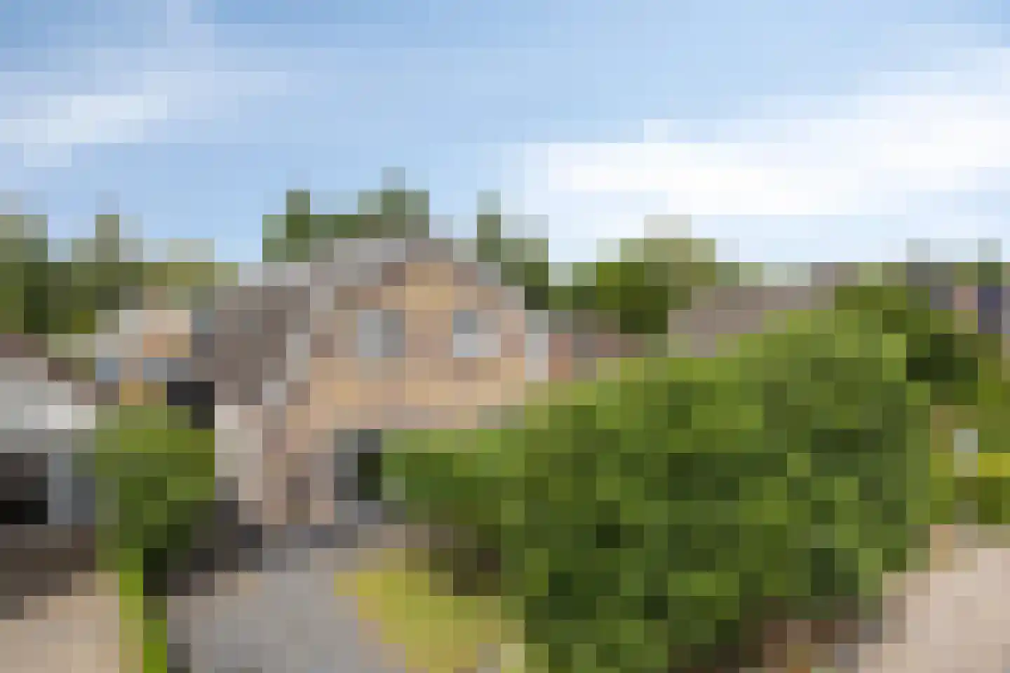Agricolastraat 20 Apeldoorn thumbnail 42