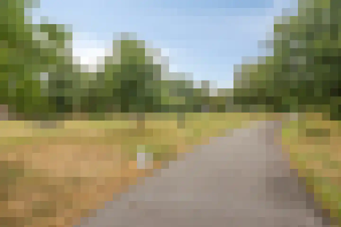 Agricolastraat 20 Apeldoorn thumbnail 45