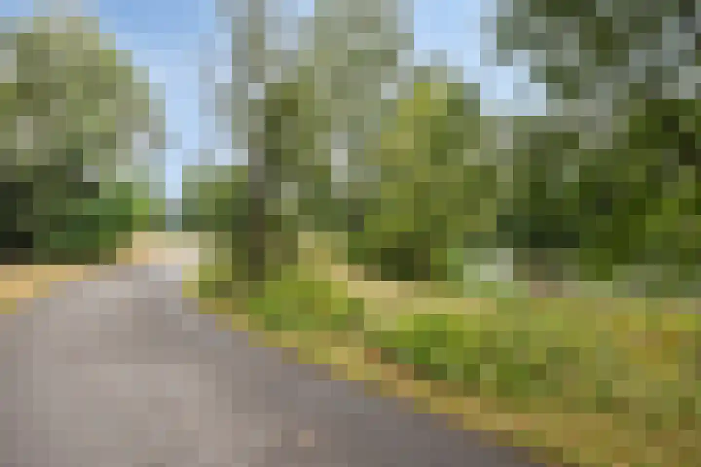 Agricolastraat 20 Apeldoorn thumbnail 47