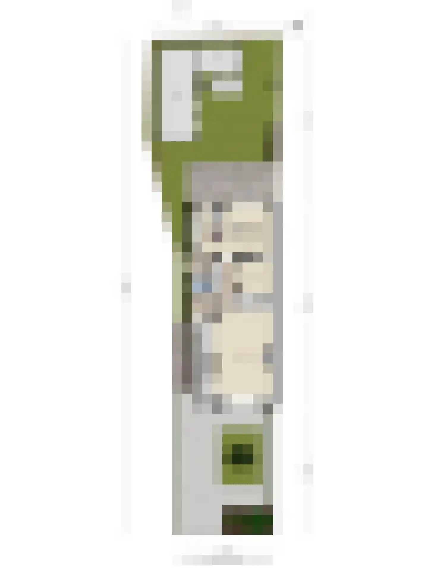 Agricolastraat 20 Apeldoorn thumbnail 53