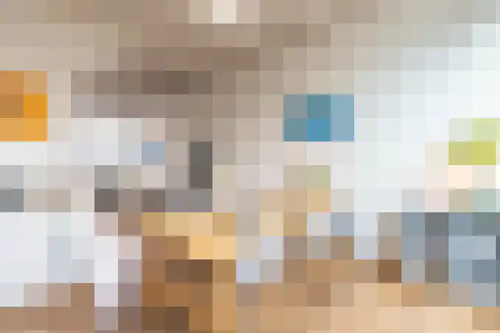 Agricolastraat 20 Groningen thumbnail 14
