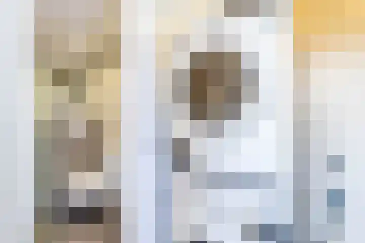Agricolastraat 20 Groningen thumbnail 17