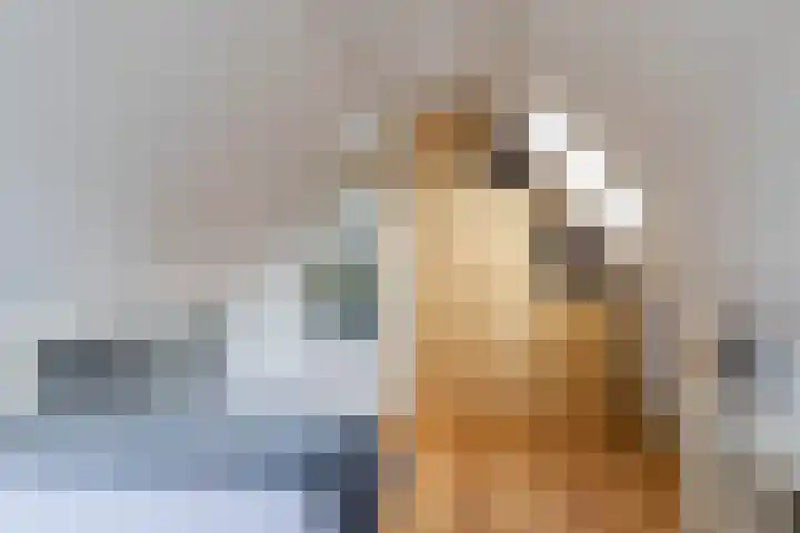 Agricolastraat 20 Groningen thumbnail 26