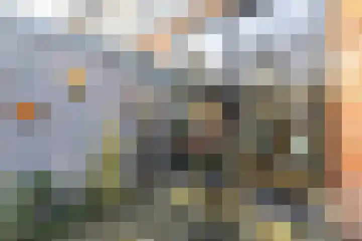 Agricolastraat 20 Groningen thumbnail 28