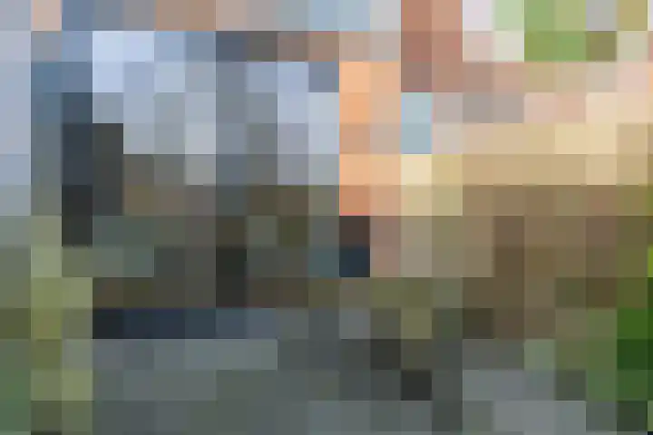 Agricolastraat 20 Groningen thumbnail 29