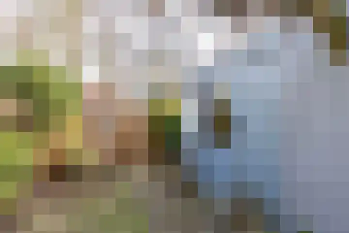 Agricolastraat 20 Groningen thumbnail 32