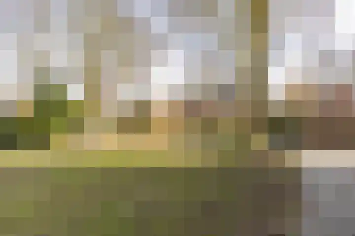 Agricolastraat 20 Groningen thumbnail 35