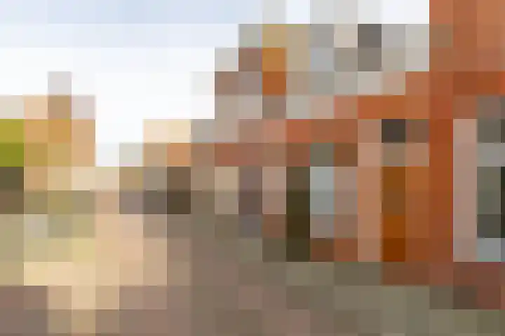 Agricolastraat 20 Groningen thumbnail 5