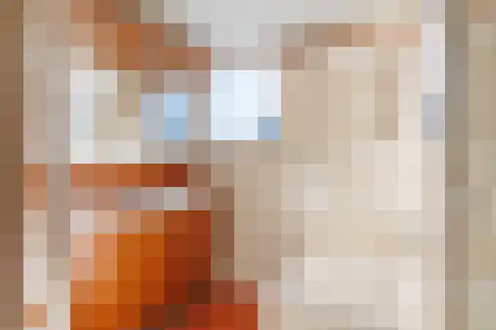 Agricolastraat 24 Apeldoorn thumbnail 18