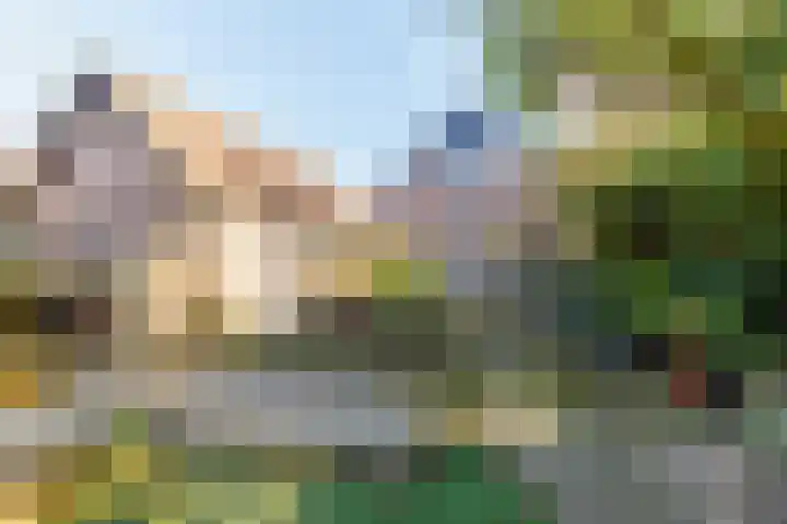 Agricolastraat 24 Apeldoorn thumbnail 21