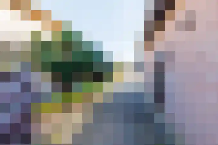 Agricolastraat 24 Apeldoorn thumbnail 27