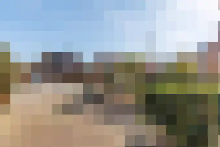 Agricolastraat 24 Apeldoorn thumbnail 30