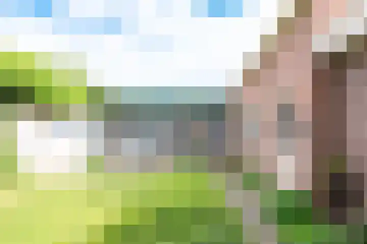 Agricolastraat 27 Apeldoorn thumbnail 22
