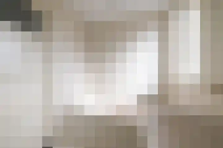 Agricolastraat 27 Apeldoorn thumbnail 31