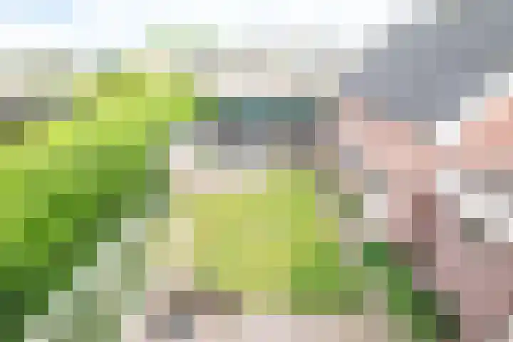 Agricolastraat 27 Apeldoorn thumbnail 40