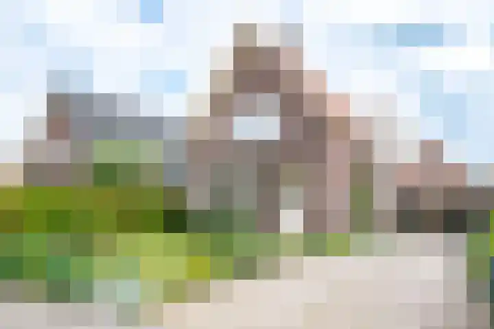 Agricolastraat 27 Apeldoorn thumbnail 48