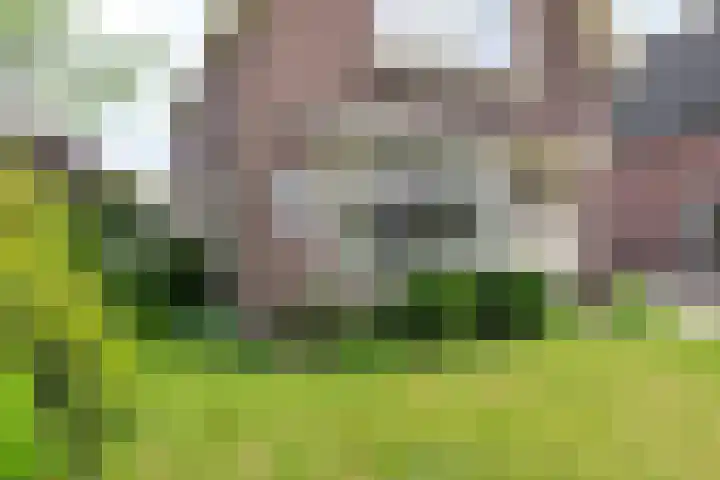 Agricolastraat 27 Apeldoorn thumbnail 5
