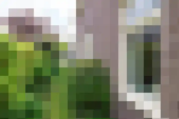 Agricolastraat 27 Apeldoorn thumbnail 6