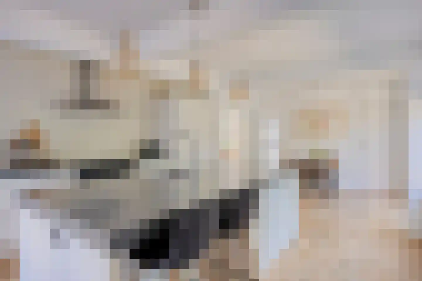 Agricolastraat 4 Apeldoorn thumbnail 13