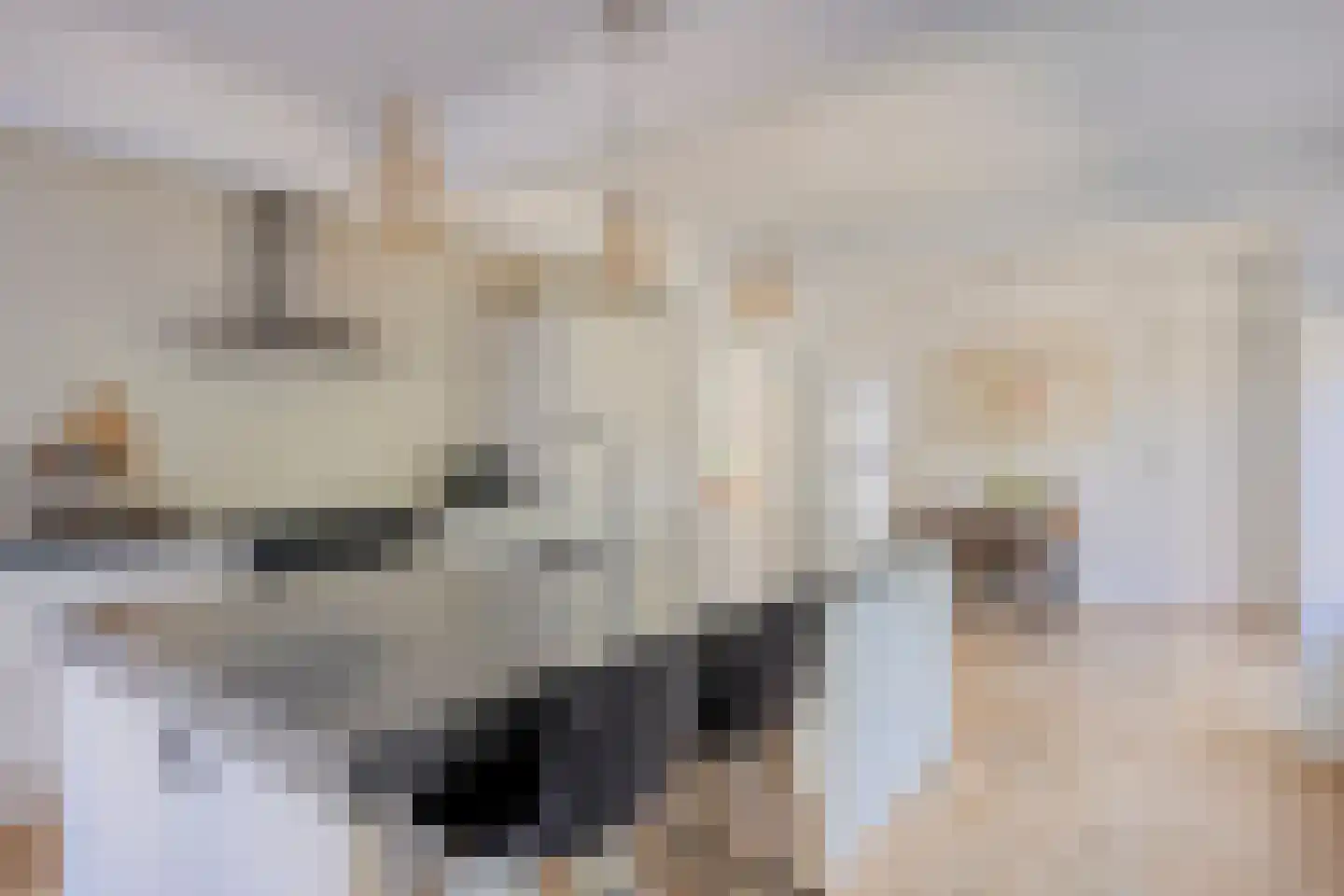 Agricolastraat 4 Apeldoorn thumbnail 16