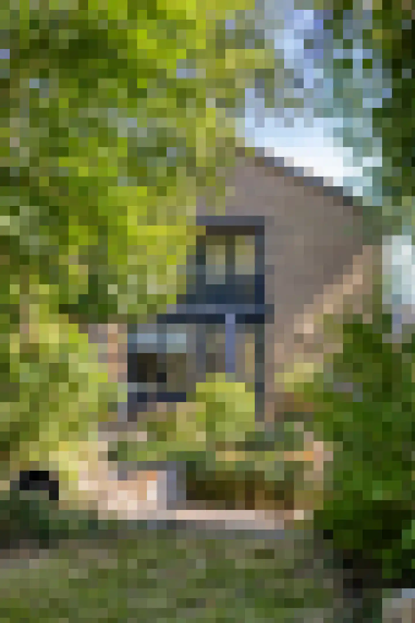 Agricolastraat 4 Apeldoorn thumbnail 22