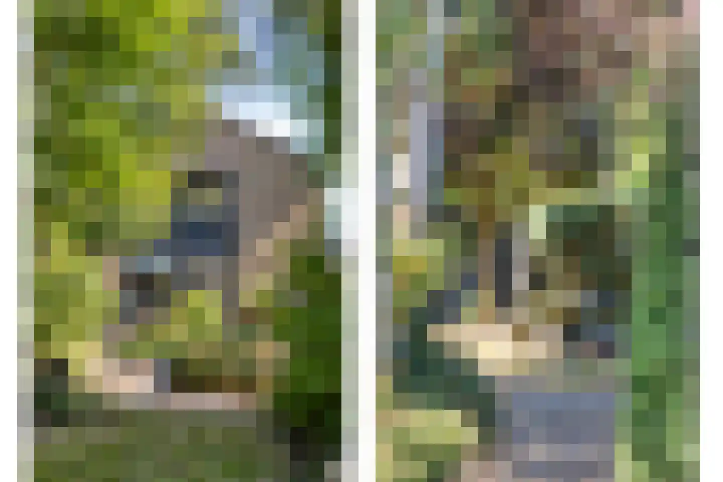 Agricolastraat 4 Apeldoorn thumbnail 23