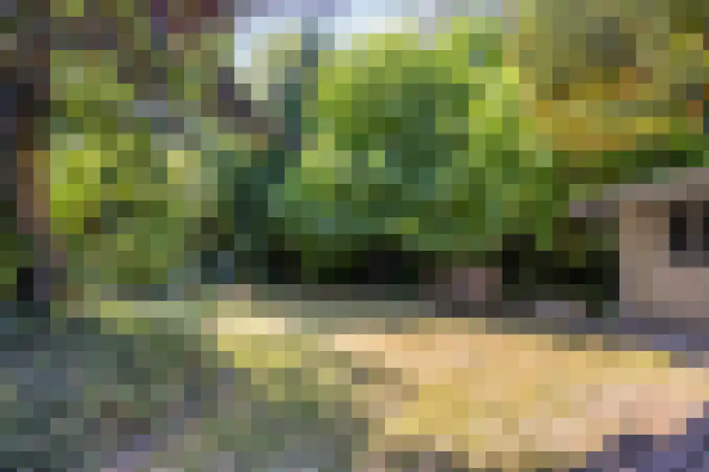 Agricolastraat 4 Apeldoorn thumbnail 25
