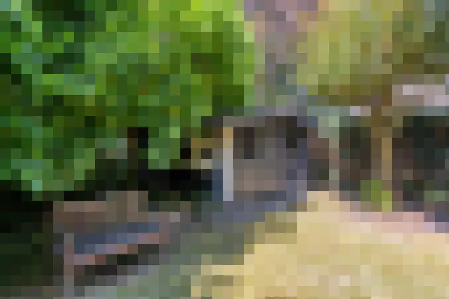 Agricolastraat 4 Apeldoorn thumbnail 26