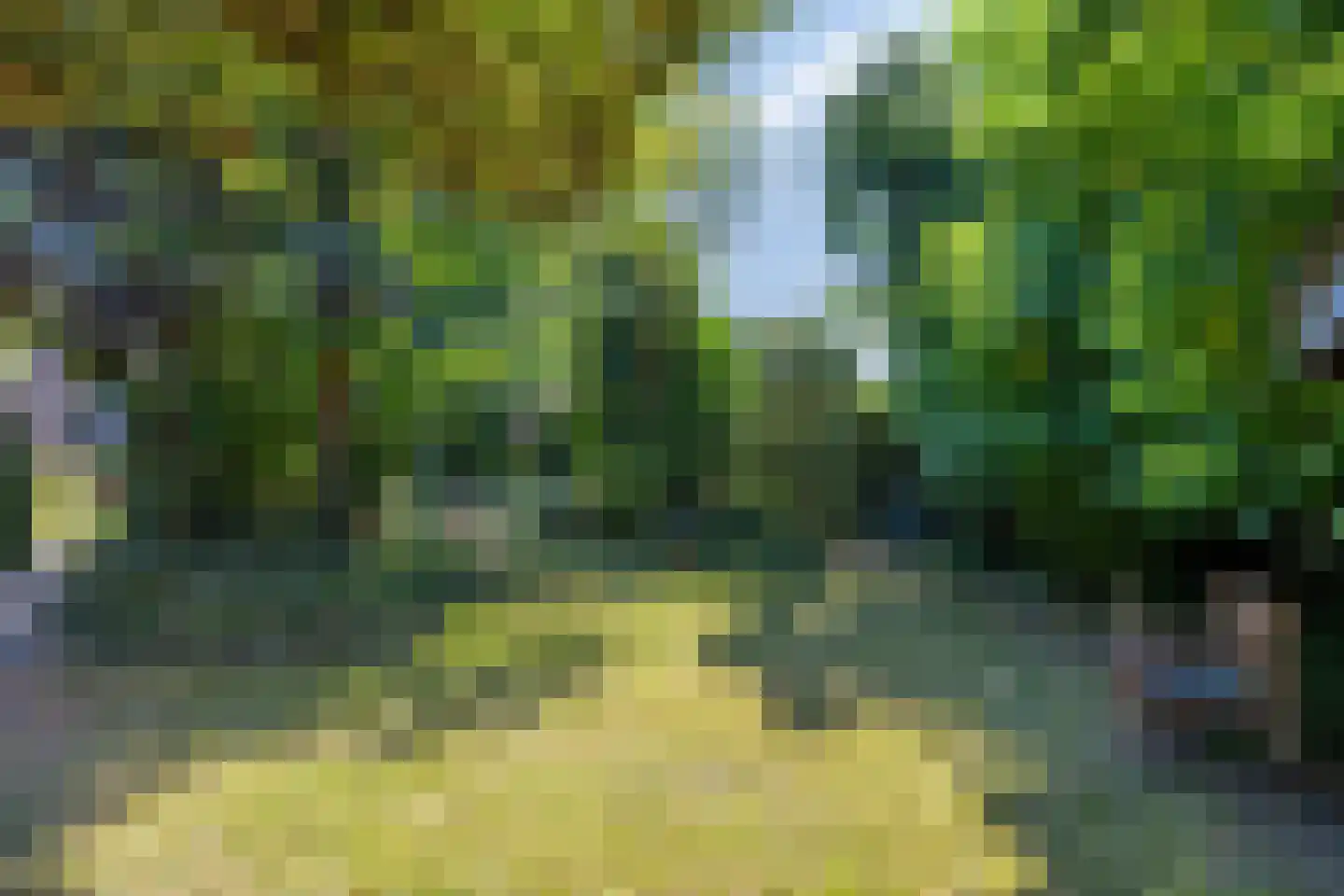 Agricolastraat 4 Apeldoorn thumbnail 27