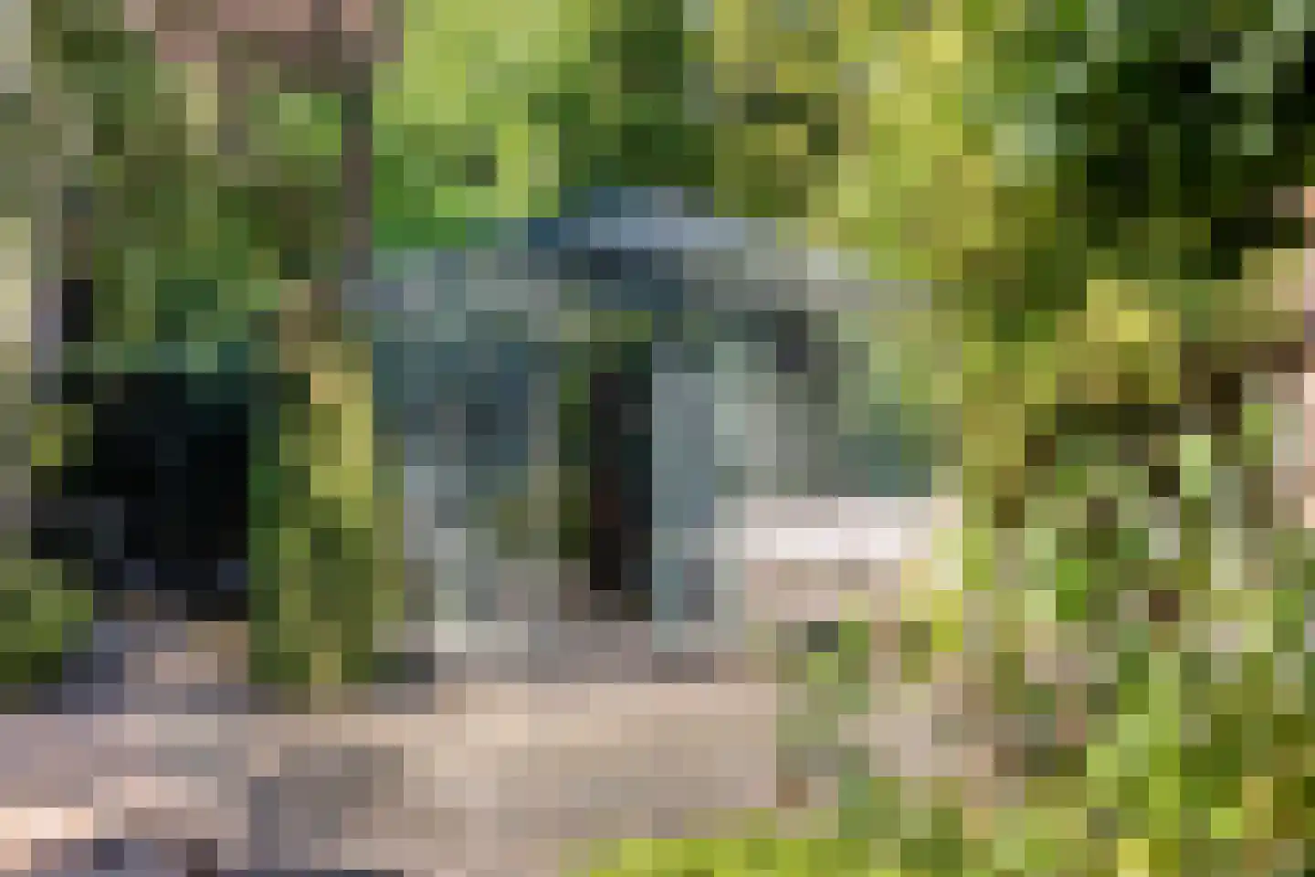 Agricolastraat 4 Apeldoorn thumbnail 29
