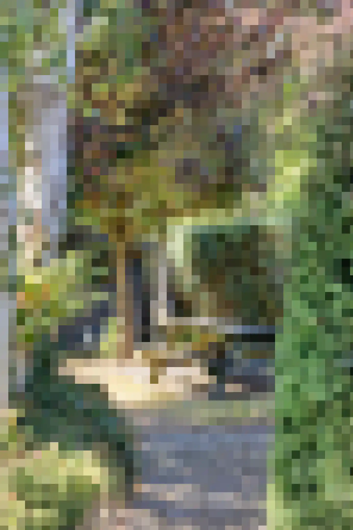 Agricolastraat 4 Apeldoorn thumbnail 30