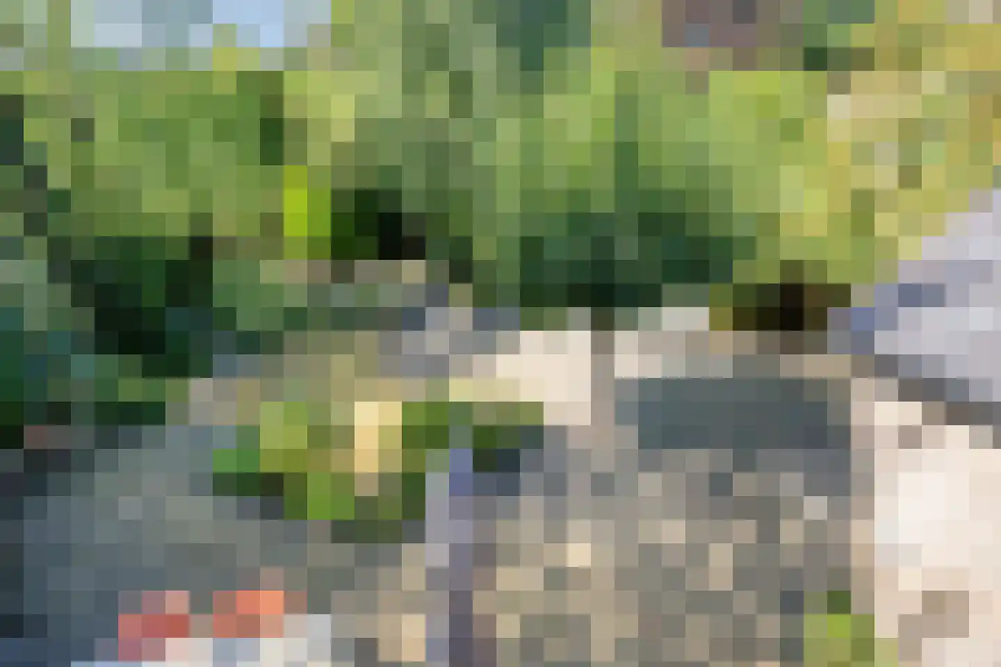 Agricolastraat 4 Apeldoorn thumbnail 38