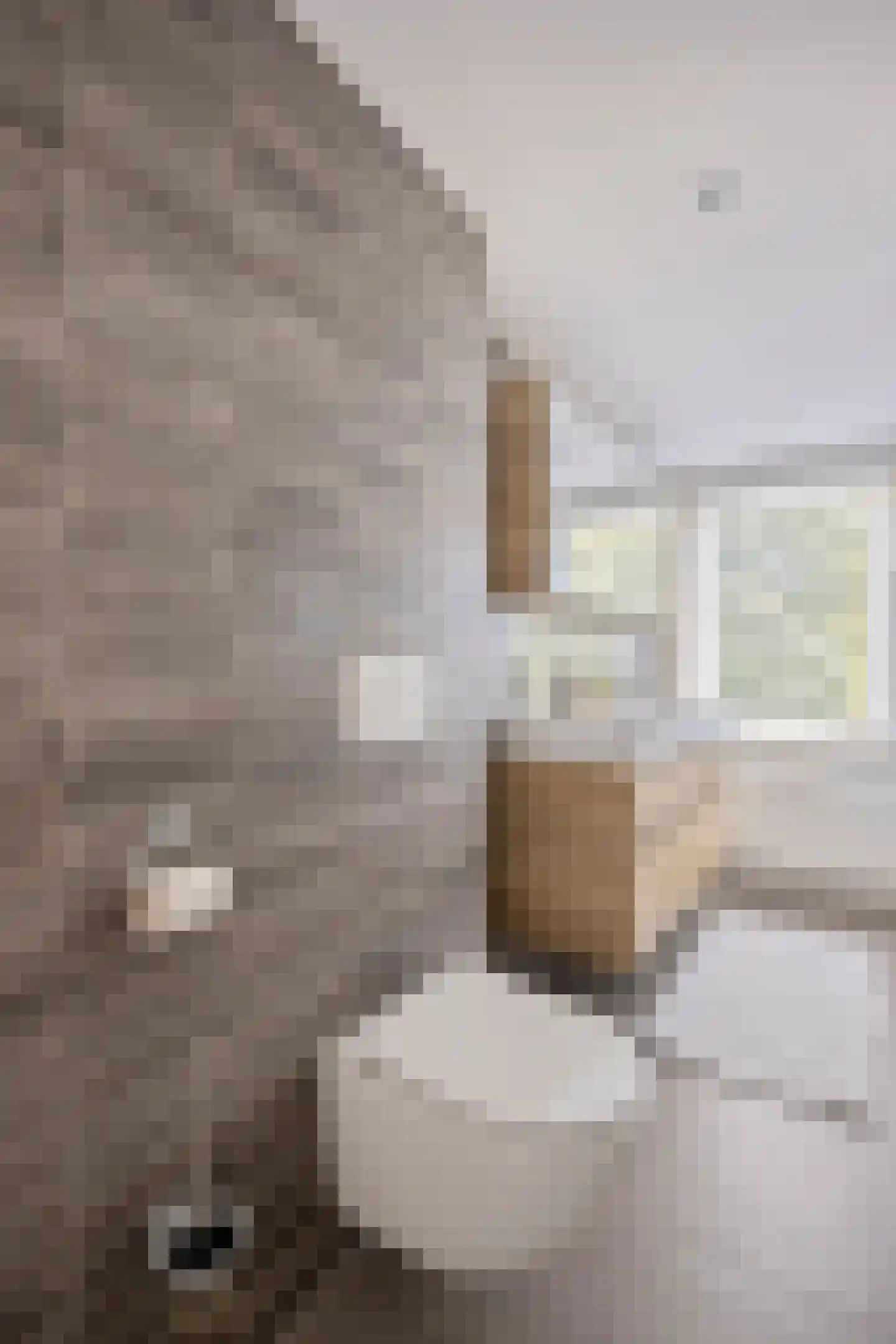 Agricolastraat 4 Apeldoorn thumbnail 42