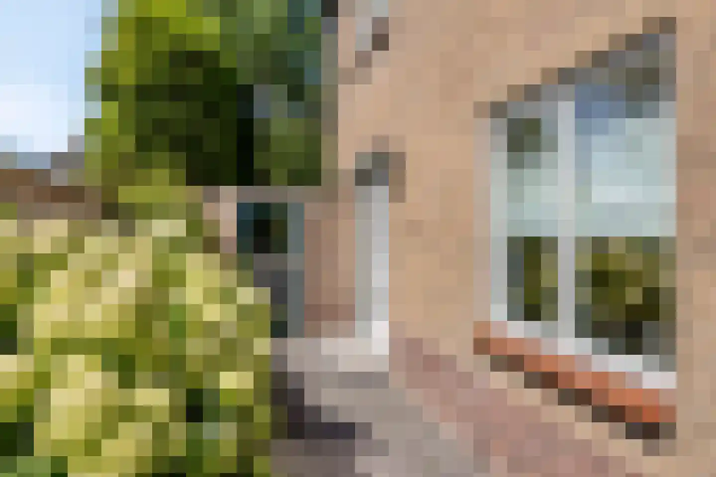 Agricolastraat 4 Apeldoorn thumbnail 45