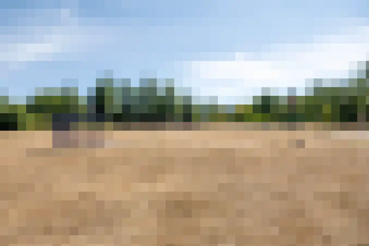 Agricolastraat 4 Apeldoorn thumbnail 47