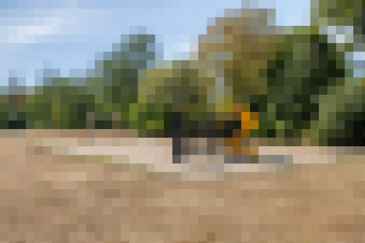 Agricolastraat 4 Apeldoorn thumbnail 48