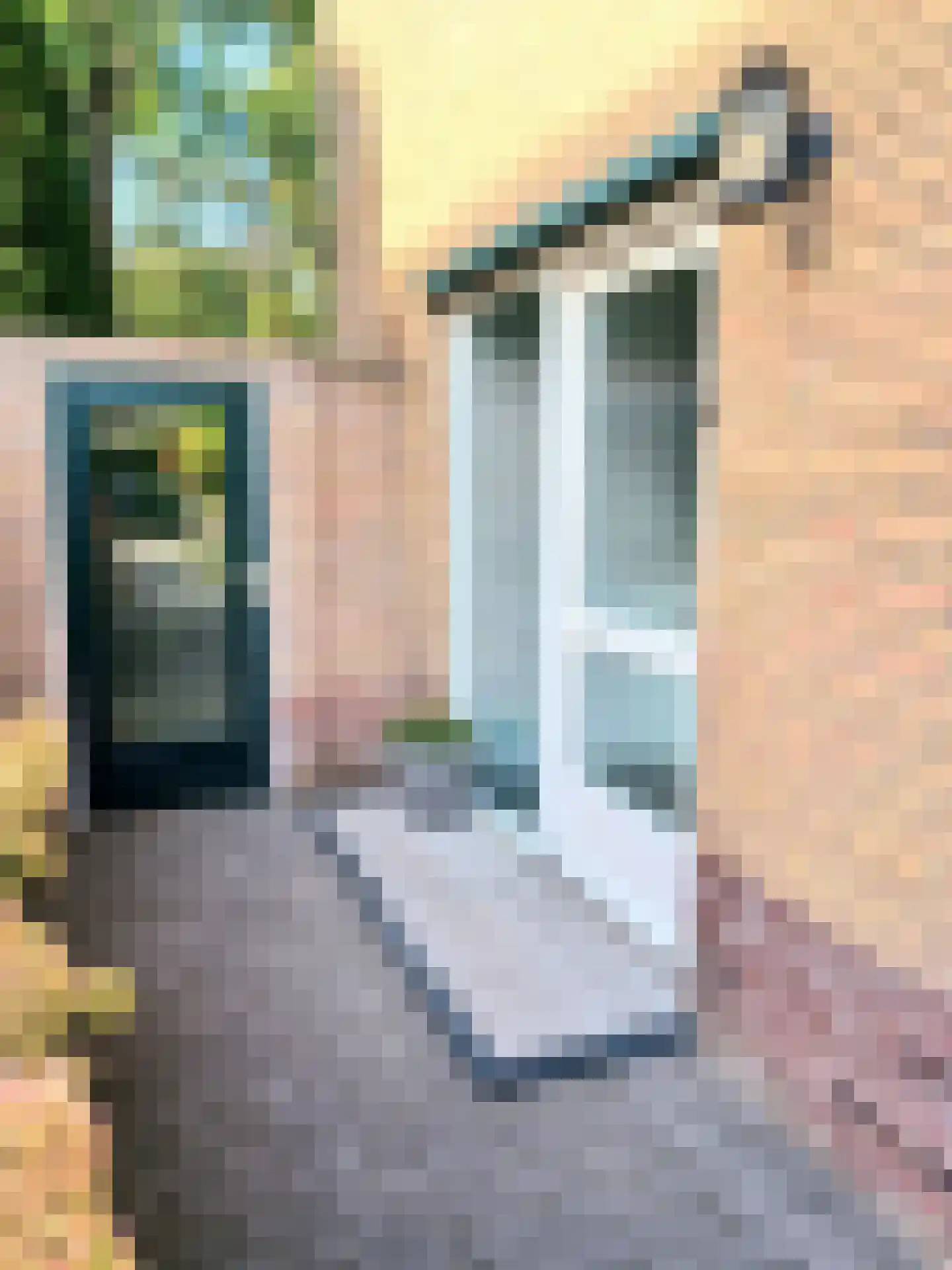 Agricolastraat 4 Apeldoorn thumbnail 5