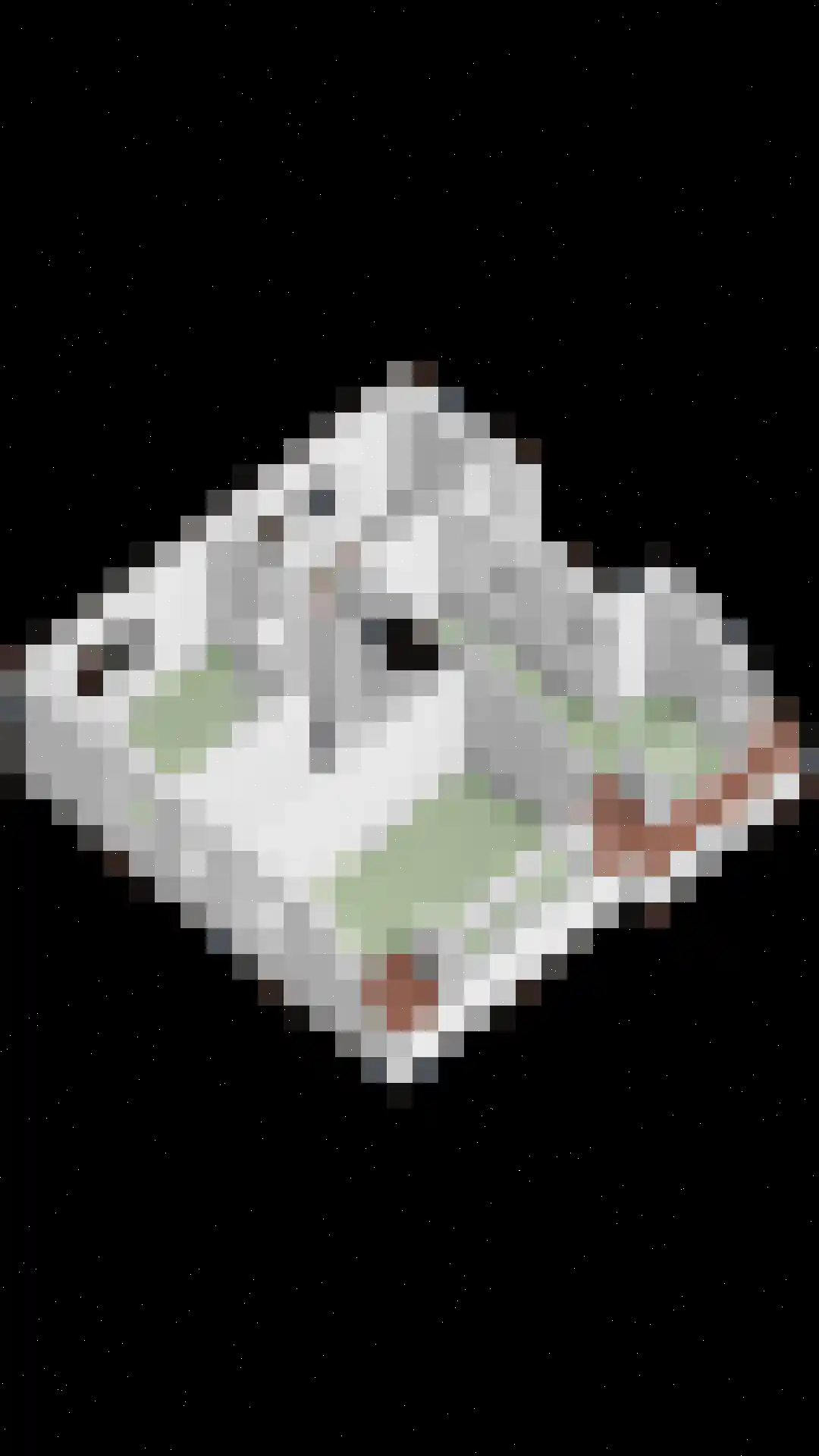 Agricolastraat 4 Apeldoorn thumbnail 57