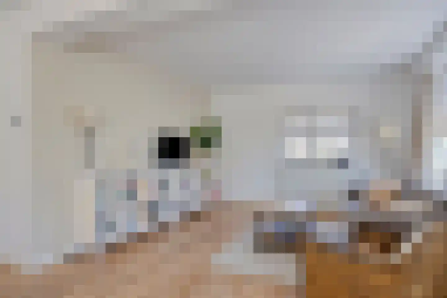 Agricolastraat 4 Apeldoorn thumbnail 9