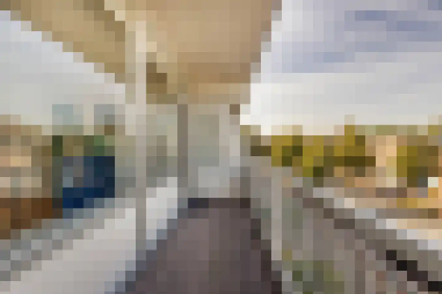 Agricolastraat 58 Sittard thumbnail 7