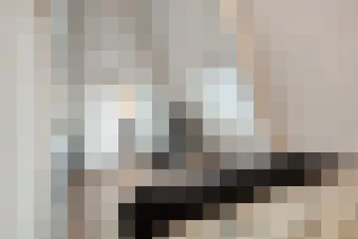 Agricolastraat 76 Sittard thumbnail 26