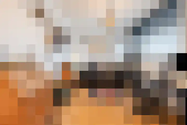 Agricolastraat 76 Sittard thumbnail 32