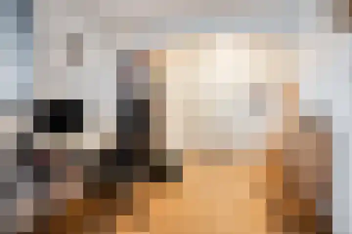 Agricolastraat 76 Sittard thumbnail 33