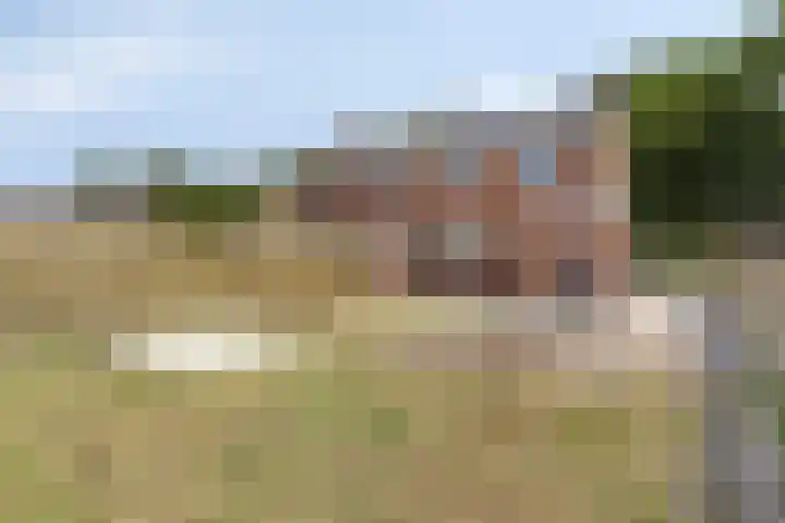 Agricultuurstraat 29 Noordbroek thumbnail 28