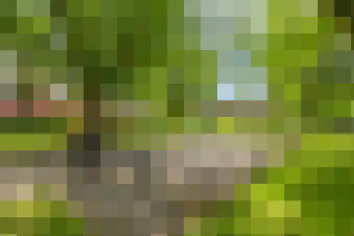 Agricultuurstraat 29 Noordbroek thumbnail 30