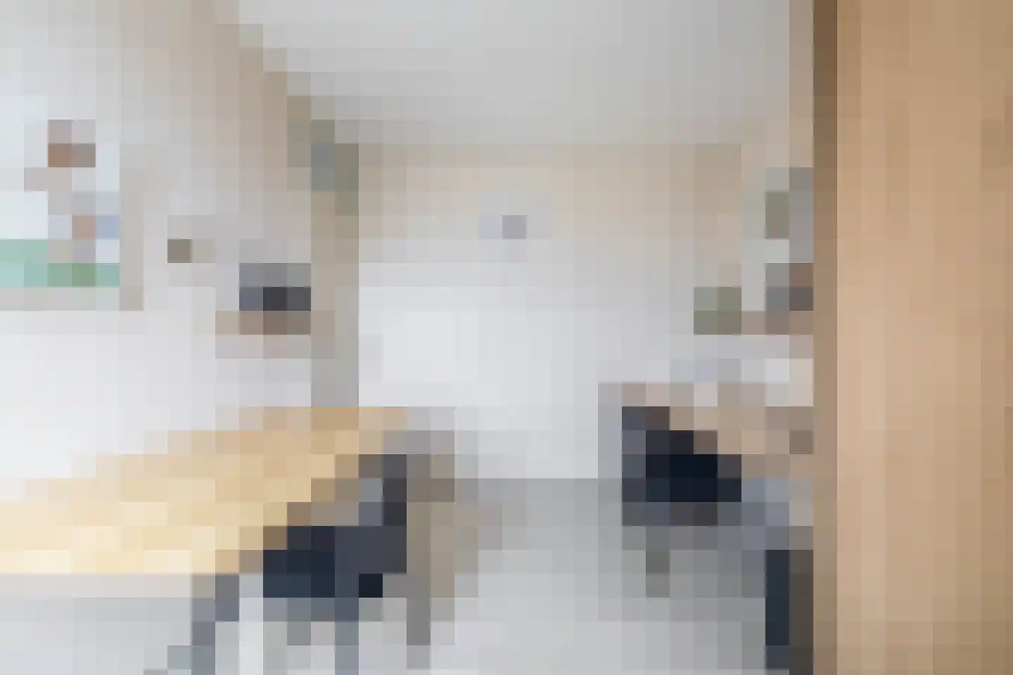 Agrimonie 8 Tegelen thumbnail 12
