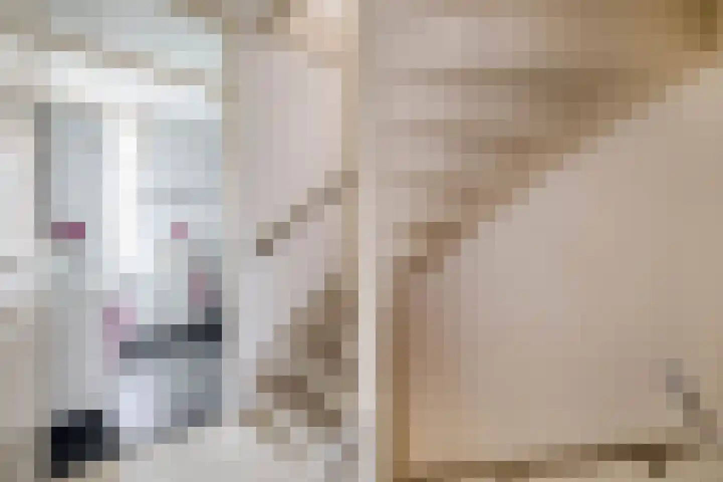 Agrimonie 8 Tegelen thumbnail 13