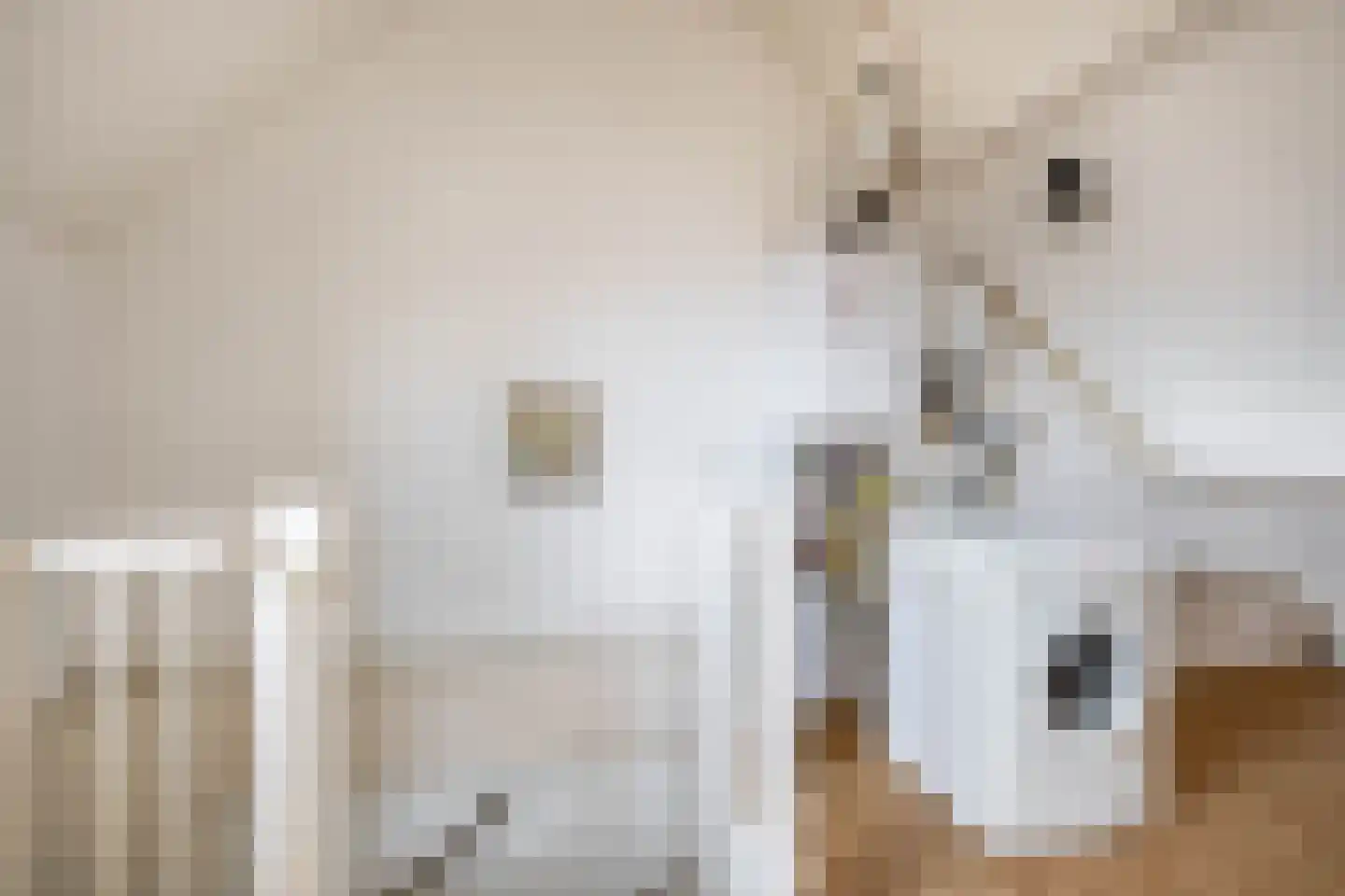 Agrimonie 8 Tegelen thumbnail 14