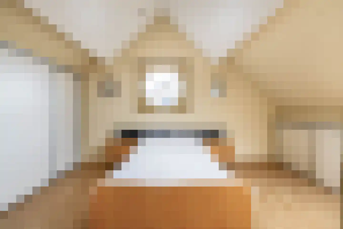 Agrimonie 8 Tegelen thumbnail 15