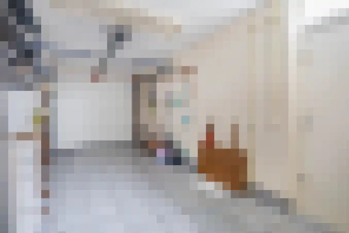 Agrimonie 8 Tegelen thumbnail 17